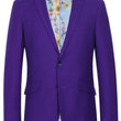 Load image into Gallery viewer, RENOIR | Slim Fit Suit | Robin's Egg Blue 201-59SL (Copy) RENOIR