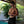 Load image into Gallery viewer, AU NOIR | Swimsuit | Solida Black Au Noir
