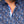 Load image into Gallery viewer, CHEMISE | BLOOM, Black Royal - AU NOIR
