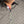 Load image into Gallery viewer, CHEMISE | CLYDE, Olive - AU NOIR
