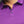 Load image into Gallery viewer, Polo | Eagle Purple - AU NOIR
